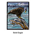 Molly Hashimoto: Birds Memory Game
