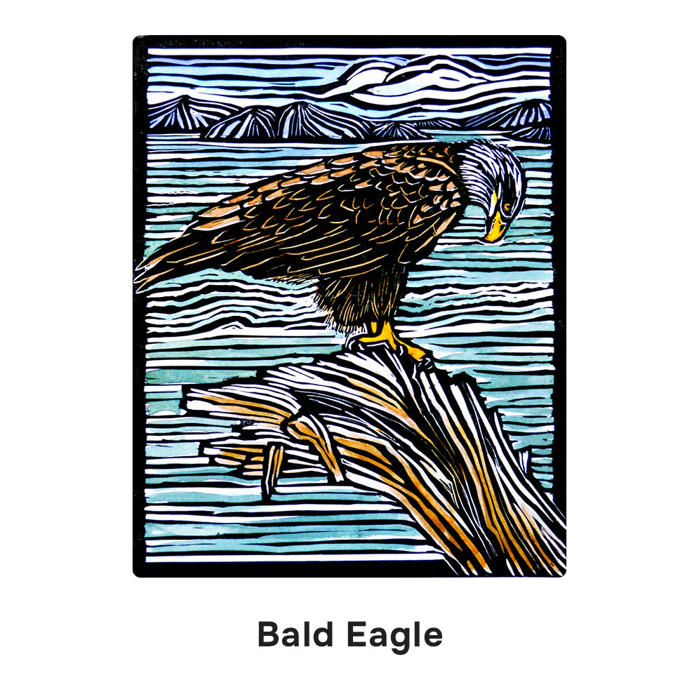 Molly Hashimoto: Birds Memory Game