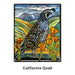 Molly Hashimoto: Birds Memory Game