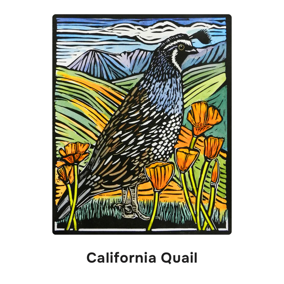 Molly Hashimoto: Birds Memory Game