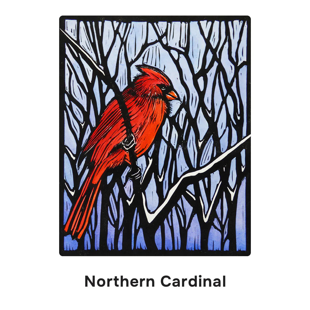 Molly Hashimoto: Birds Memory Game