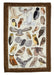 Owl Dish Towel