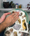 Owl Dish Towel
