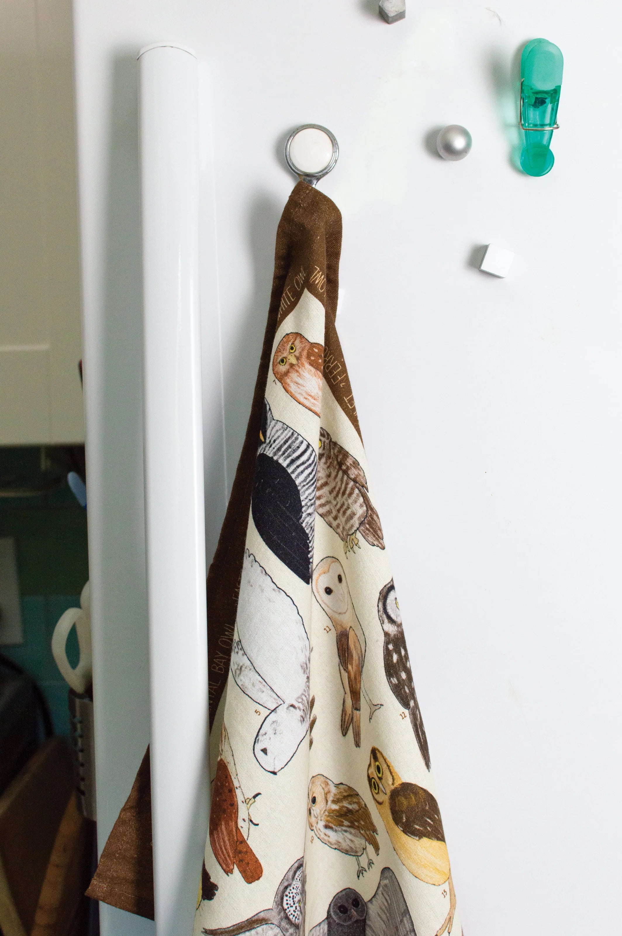 Owl Dish Towel