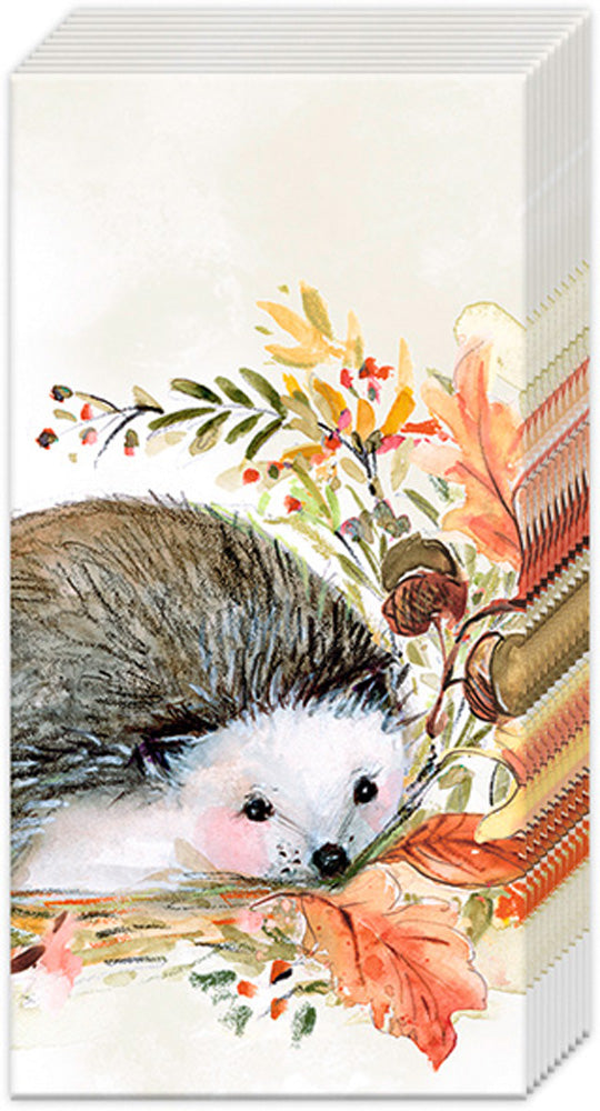 Sweet Hegehog - Pocket Tissues    