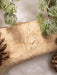 Holly Yashi Radiant Petra Earrings - Gold    