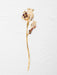 Holly Yashi Elora Hairpin - Brown    