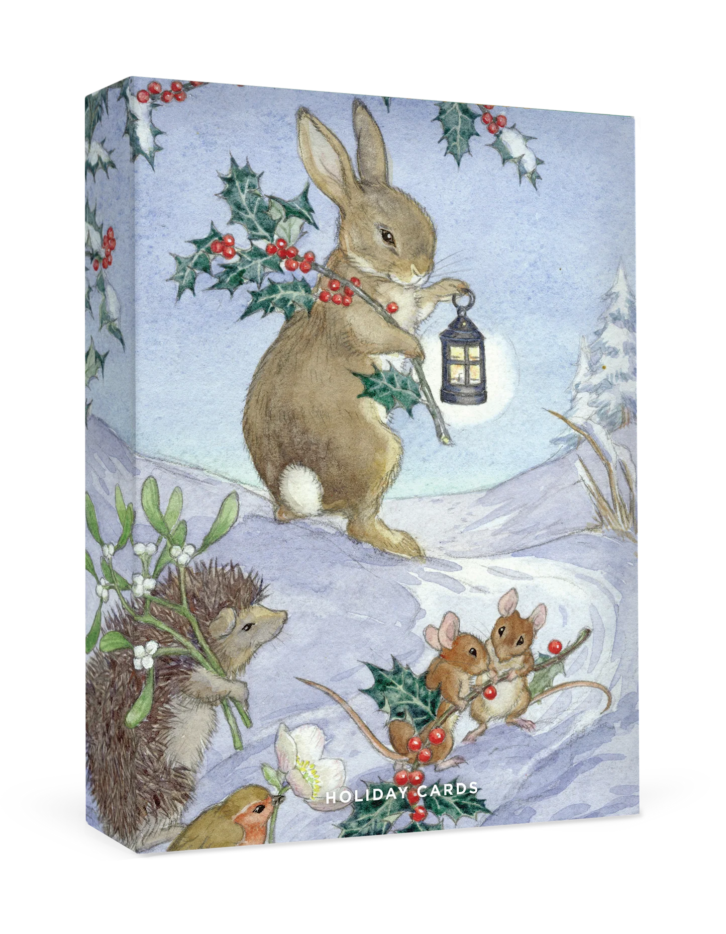 Molly Brett Christmas Animals Small Boxed Holiday Cards