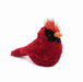 Mon Ami Crimson Cardinal