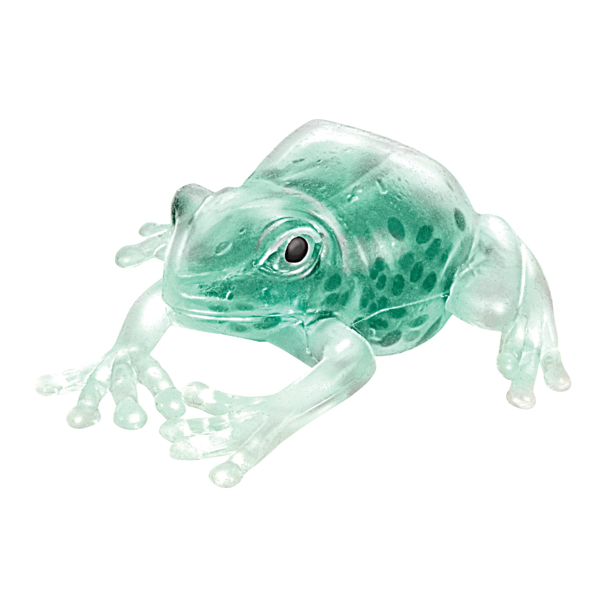 Squish The Frog (Single) - Random Color