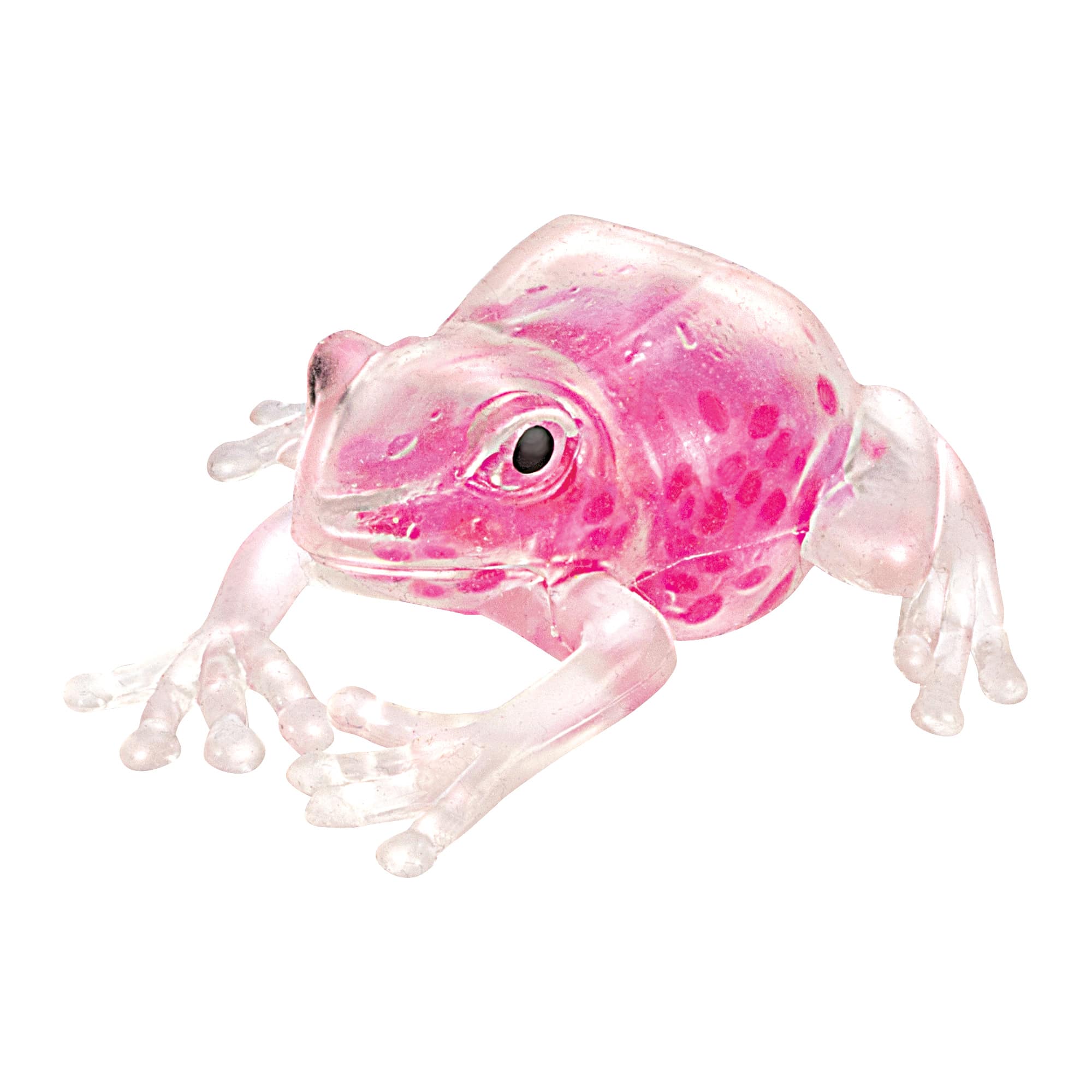 Squish The Frog (Single) - Random Color