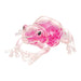 Squish The Frog (Single) - Random Color