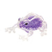 Squish The Frog (Single) - Random Color
