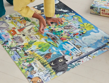 Within The Biomes 48 Piece Giant Puzzle
