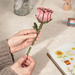 Robotime Pink Rose DIY Flower