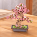 Robotime Sakura Bonsai