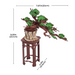 ROBOTIME Evergreen Pine Bonsai DIY Wooden 3D Puzzle