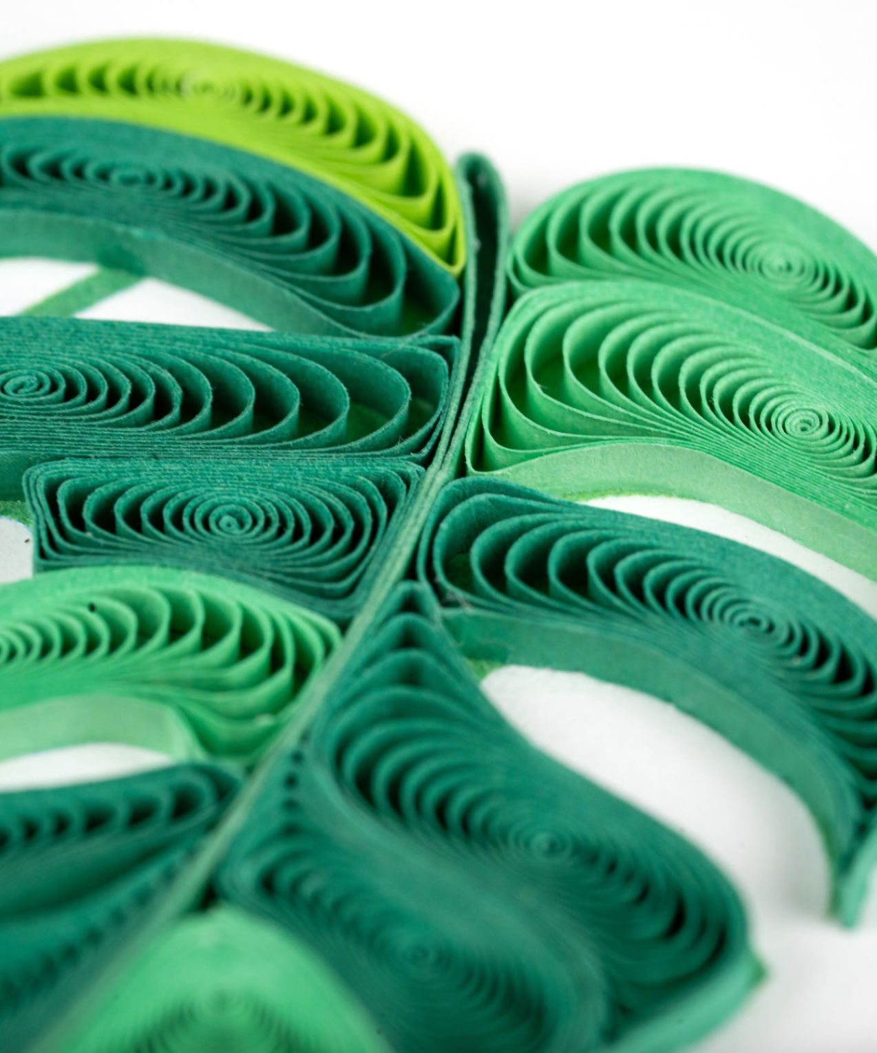 Monstera Plant Blank Quilled Greeting Card