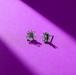 Boma Gerbera Daisy Flower Stud Earrings