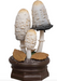 Mushroom Garden Blind Box - V2