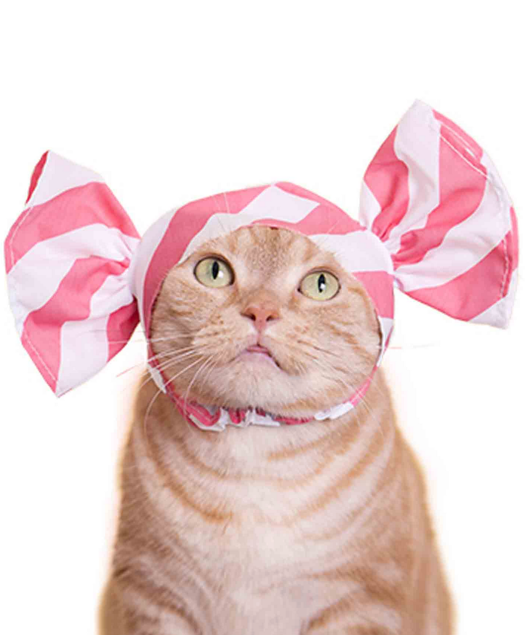 CI Cat Cap Blind Box - Candy