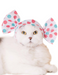 CI Cat Cap Blind Box - Candy