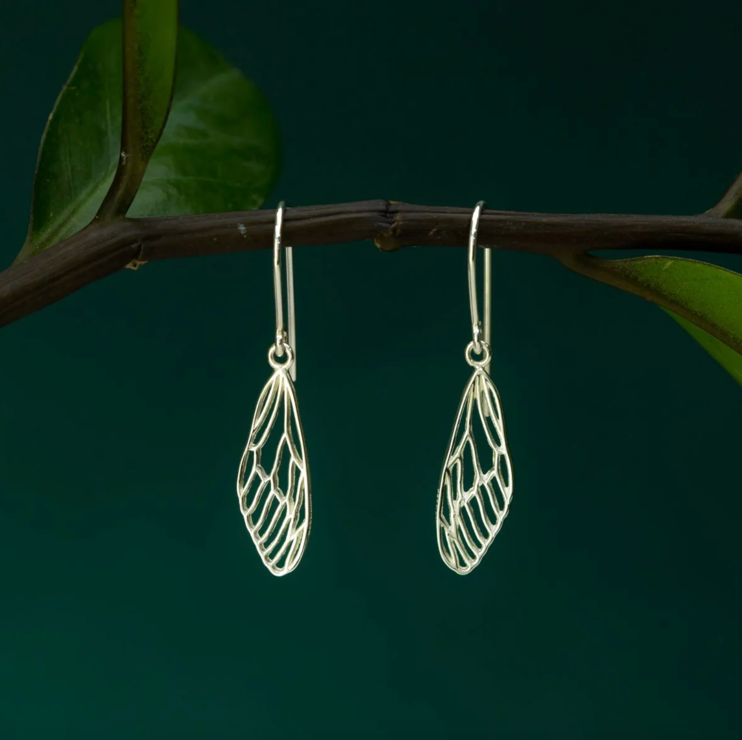Boma Outline Dragonfly Wing Sterling Silver Earrings