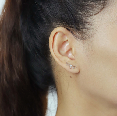 Boma Dragonfly Cubic Zirconia Studs