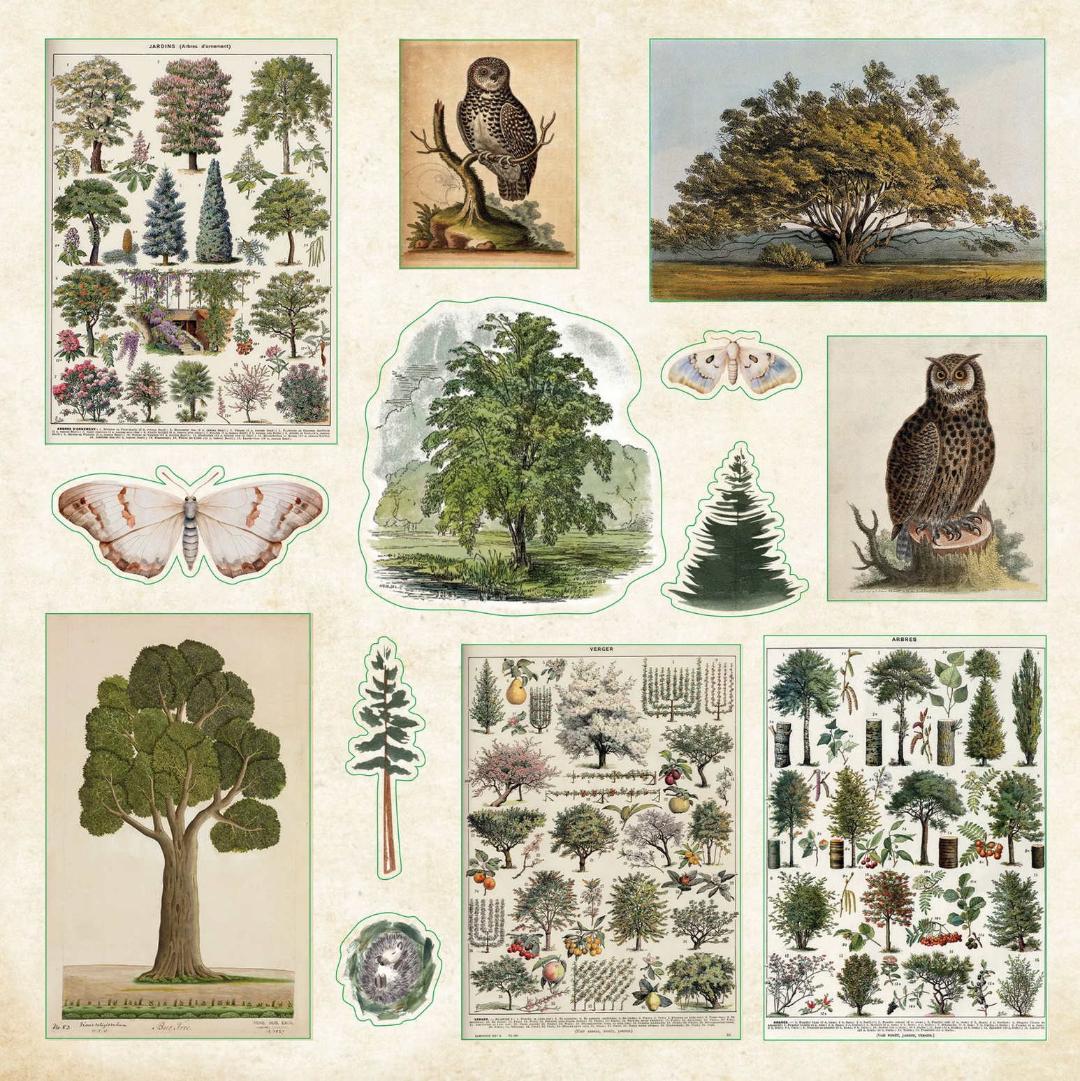 Enchanted Forest Sticker Book