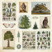 Enchanted Forest Sticker Book