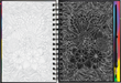 PTR Extreme! Flowers Scratch and Sketch