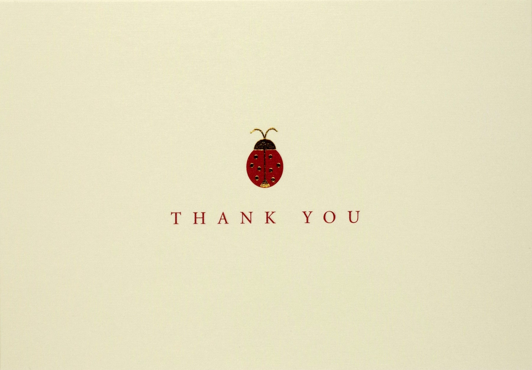 Ladybug Boxed Thank You Notes