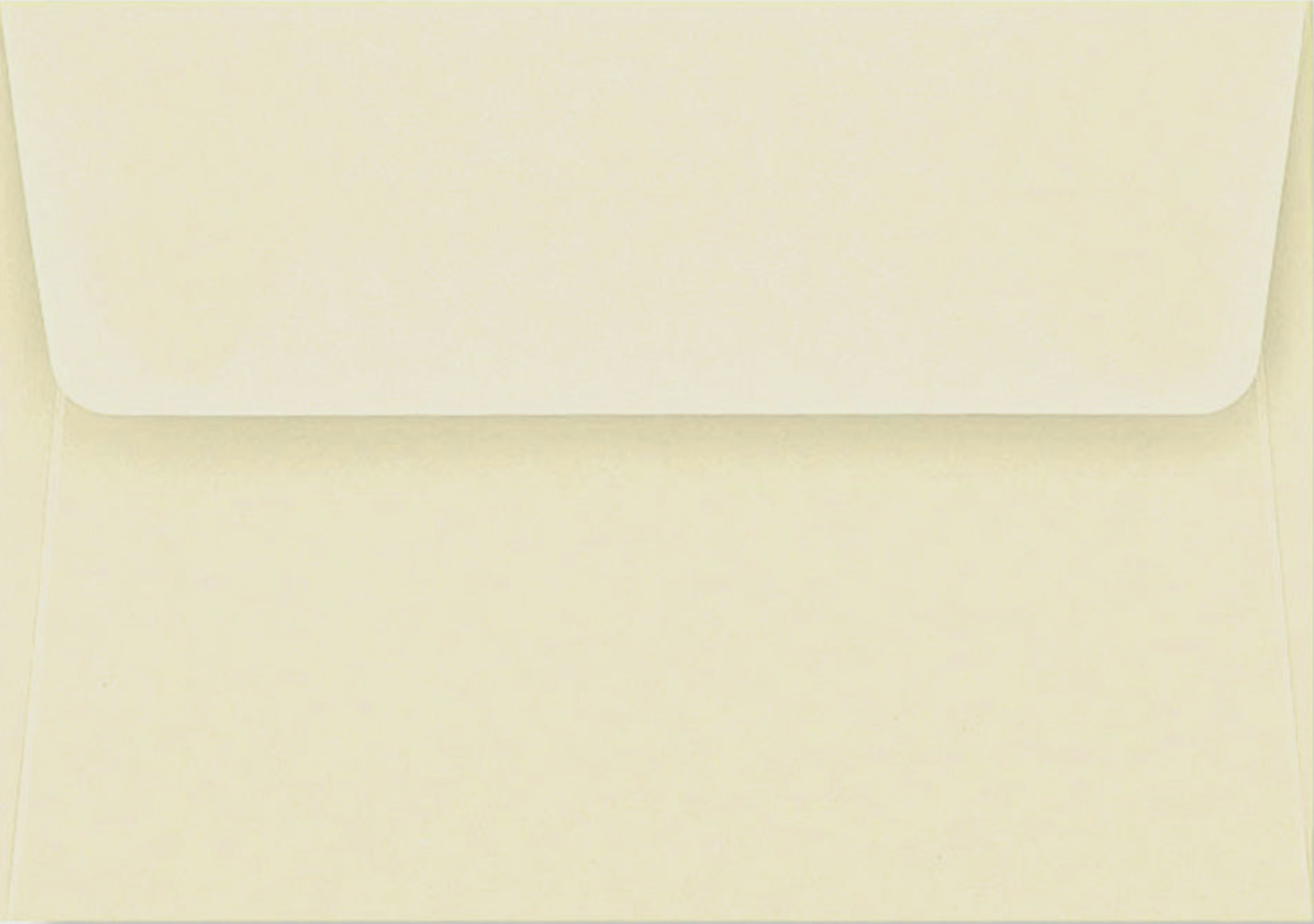 Ladybug Boxed Thank You Notes