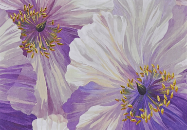 PTR Poppies in Bloom Note Cards - Boxed Set