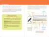 PTR The Birder's Logbook: A Seek-and-Sticker Book for Budding Ornithologists