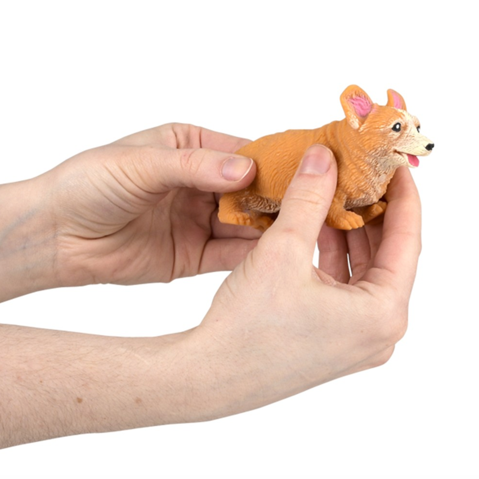 TTN Stretchy, Squish Corgi