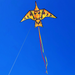 PRMR 90 Inch Thunderbird Kite - Phoenix