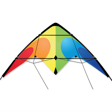 Rainbow Flash Sport Kite