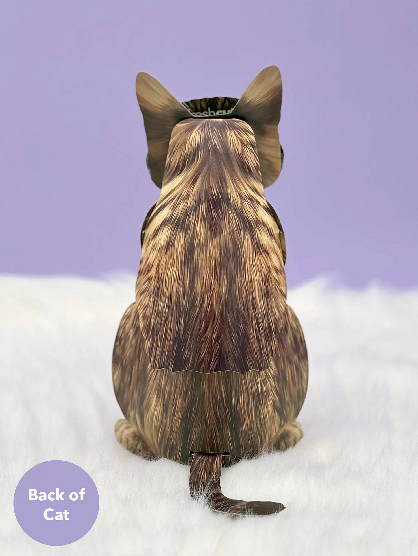 FRCC Brown Tabby Cat Pop-Up Card