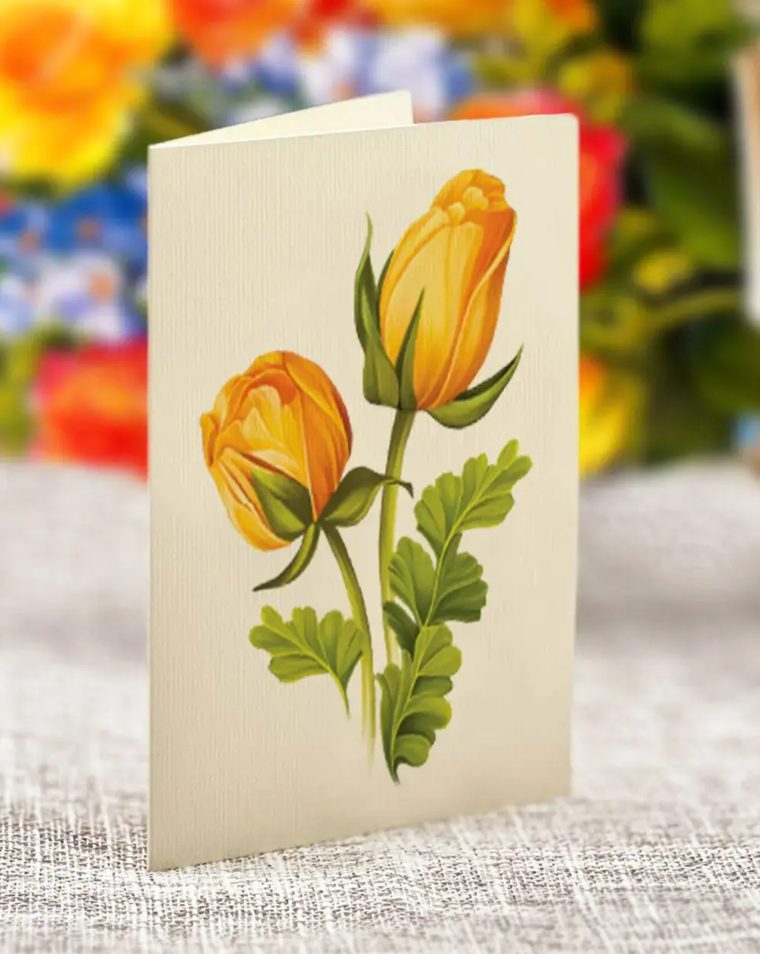 FRCC Sorbet Roses