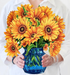 FRCC Sunflowers