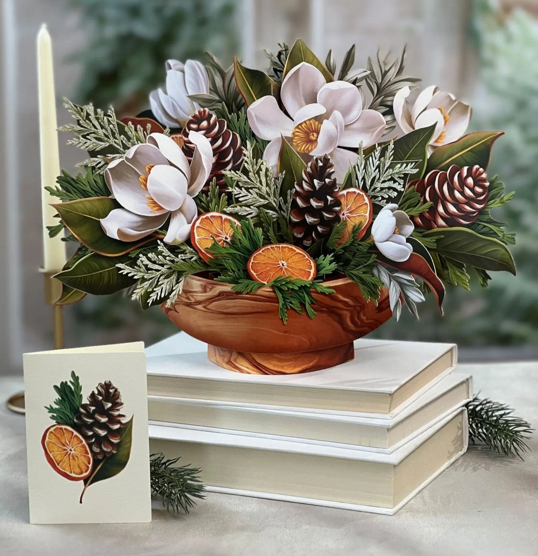 FRCC Winter Magnolia