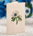 Blue Poinsettia Mini Pop Up Greeting Card