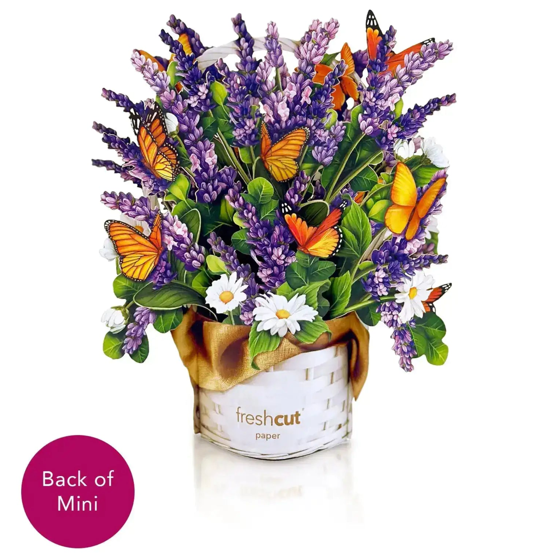 FRCC Mini Lavender & Butterflies
