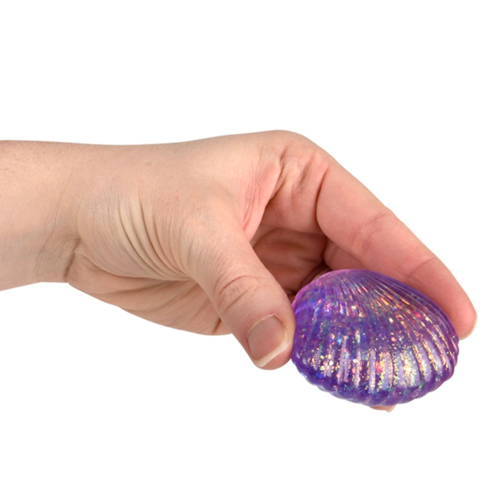 TTN 2.25" Squeezy Sugar Sea Shell (Single) - Random Color