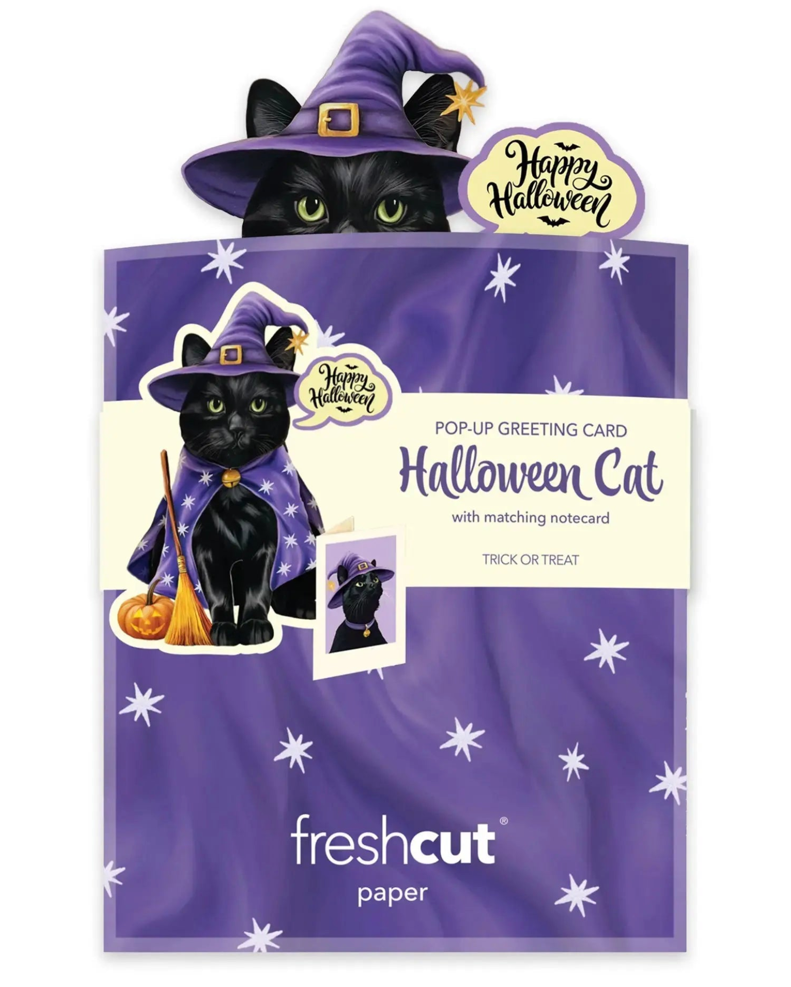 FRCC Mini Halloween Cat