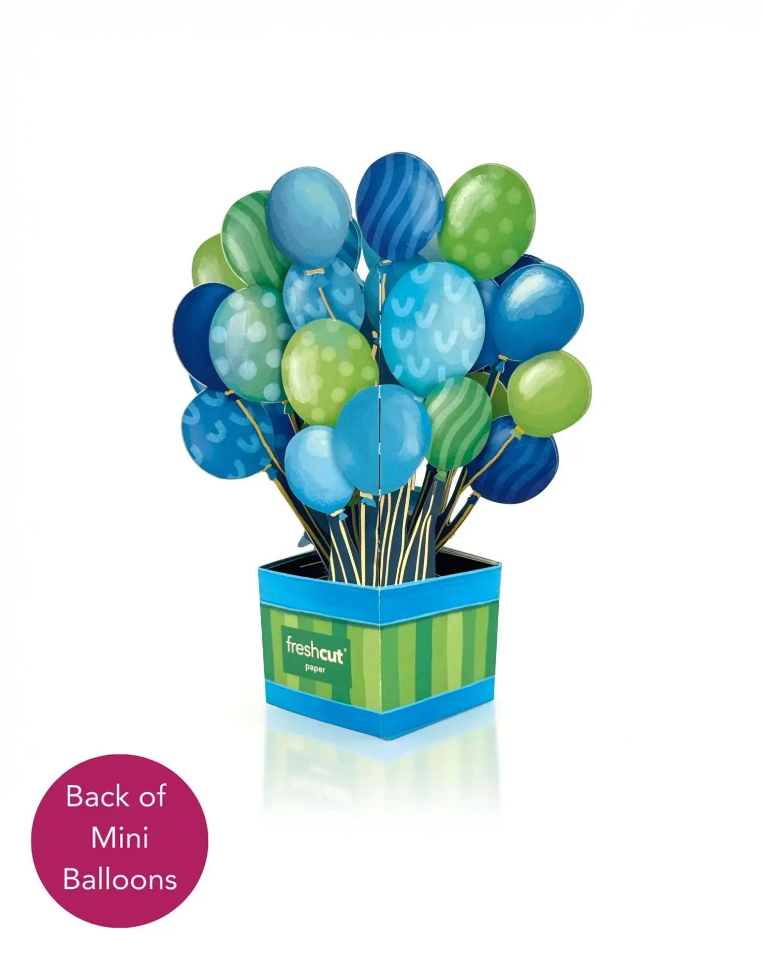 FRCC Mini Blue Birthday Balloons