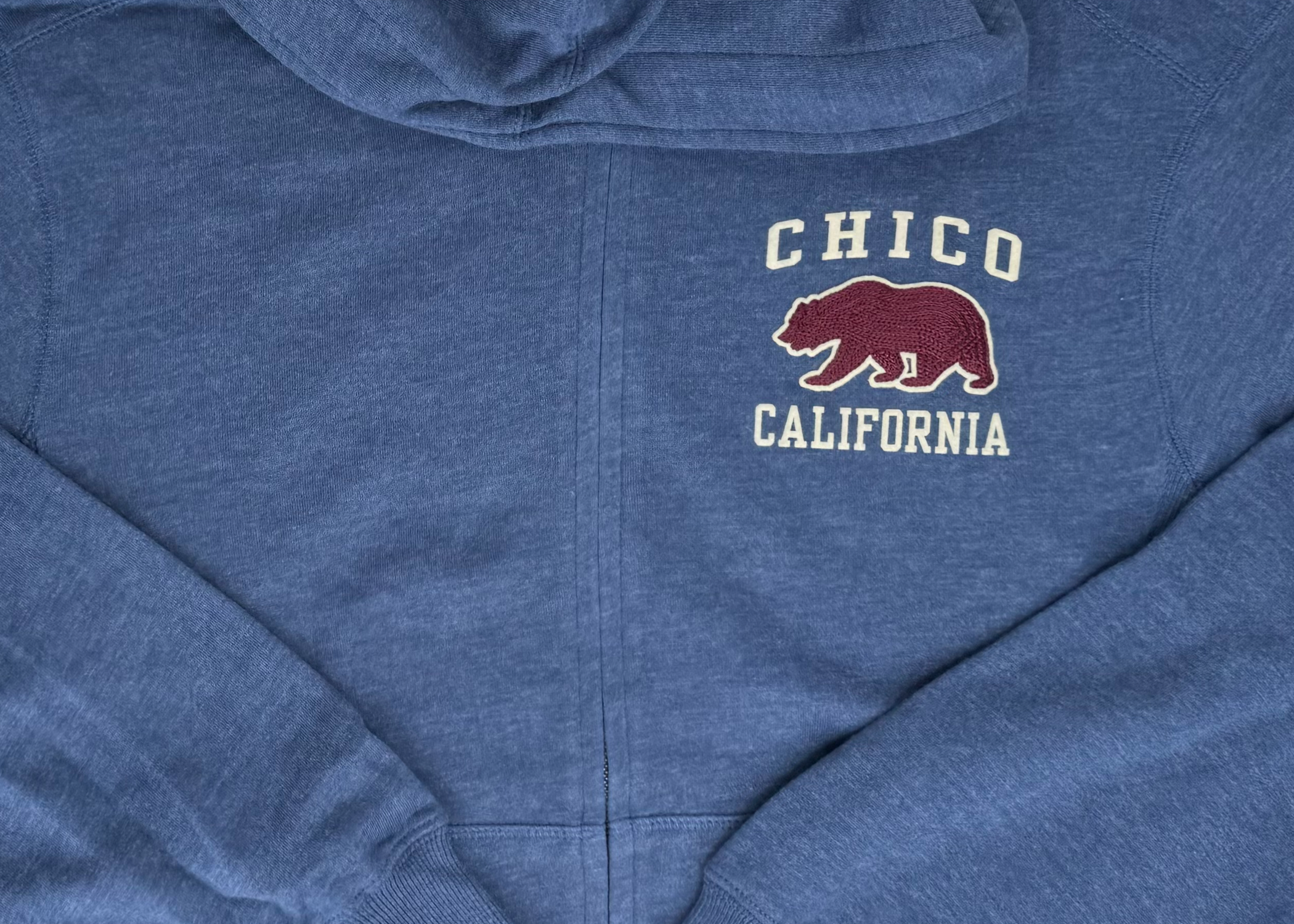 LAKE Chainmail Bear Logo Chico Hooded Zip Sweatshirt