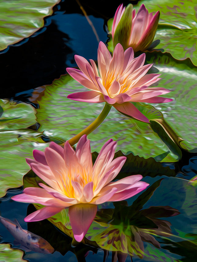 Water Lilies 500 Piece Puzzle