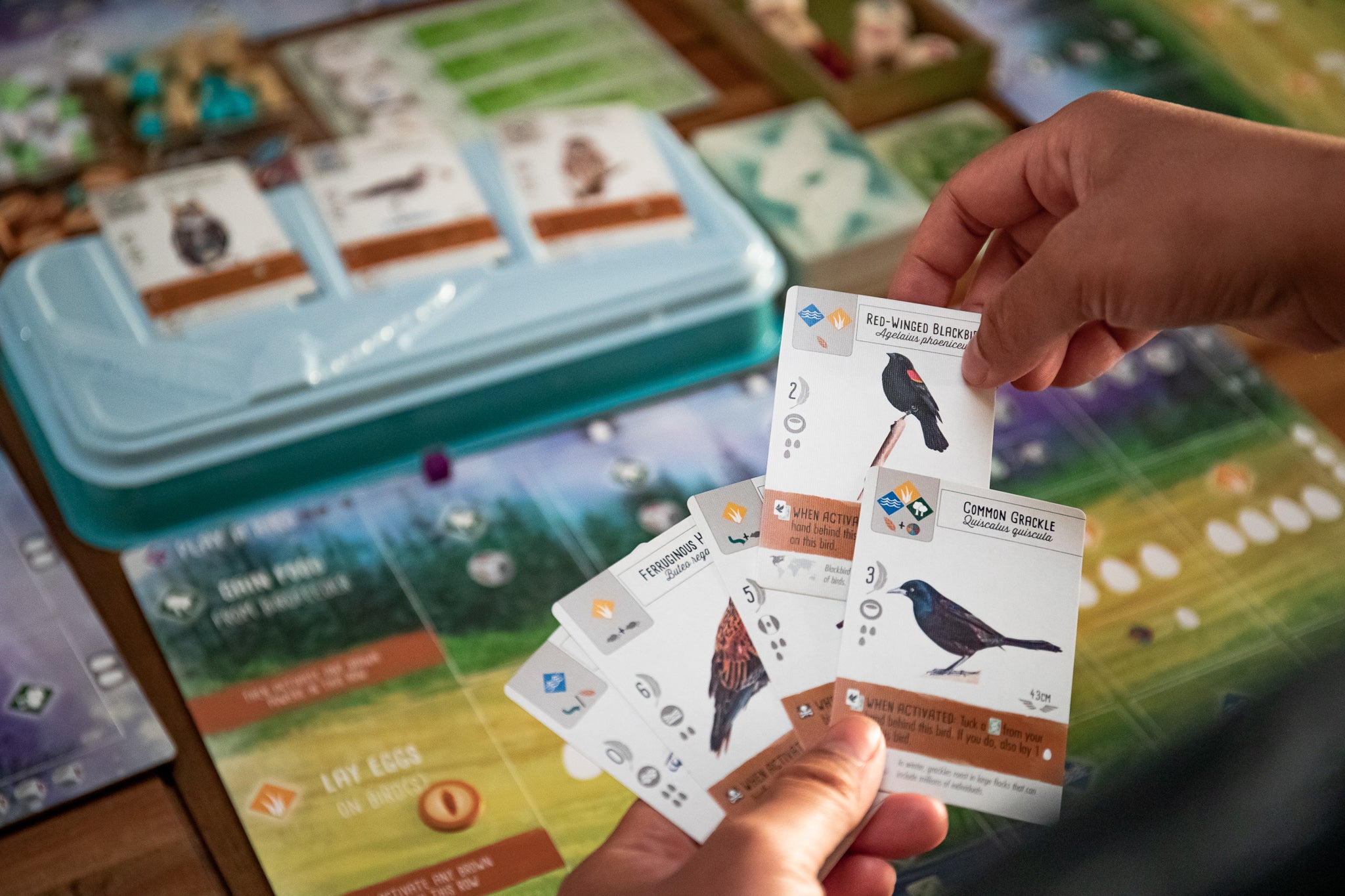 Stonemaier Games Wingspan